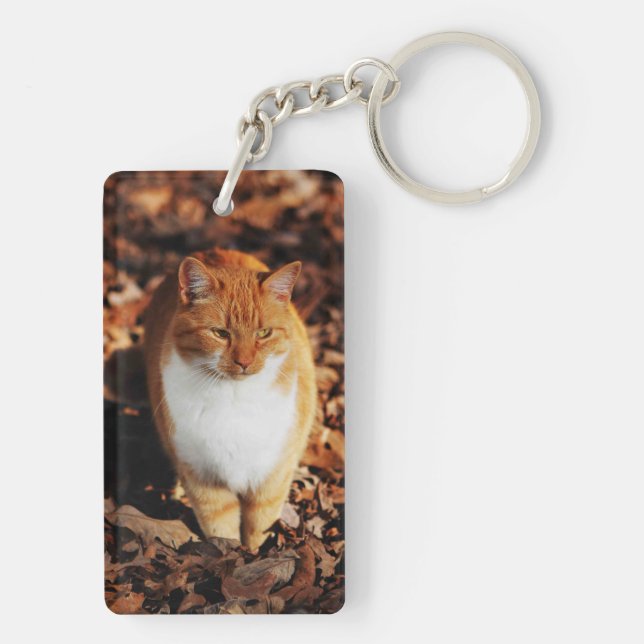 Porte - clé de chat tigré de gingembre (Dos)