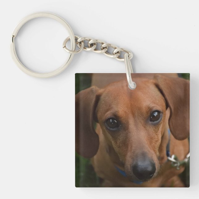 Porte - clé de Dachshund (Devant)