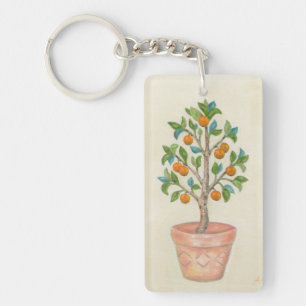 Porte - clé de l'arbre de tangerine