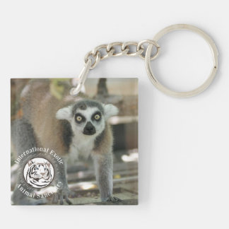 Porte - clé de Popeye