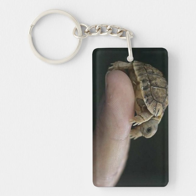 Porte - clé de tortue (Devant)