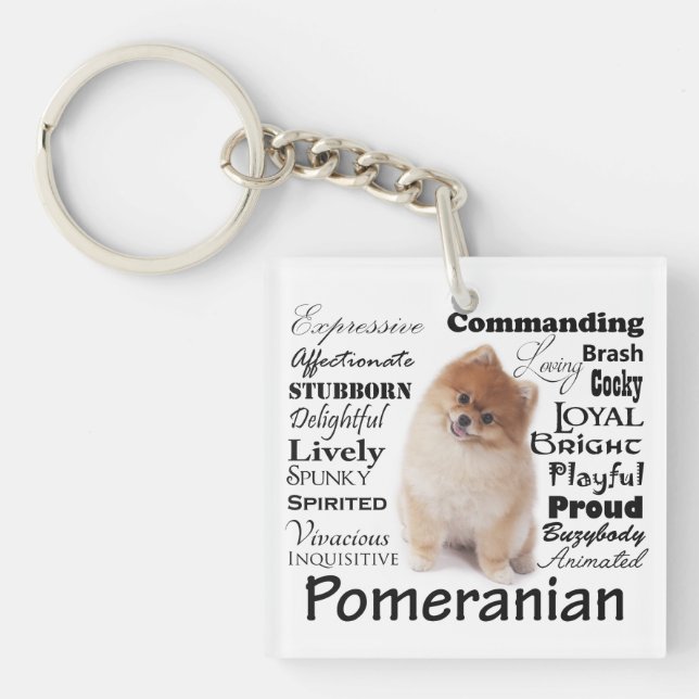 Porte - clé de traits de Pomeranian (Devant)