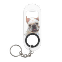 Bouledogue français