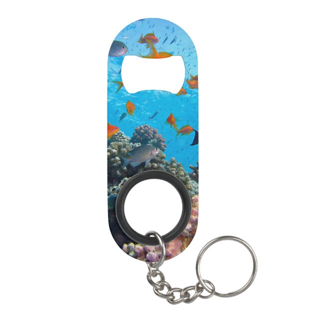 Porte-clé Décapsuleur Scène sous-marine de poissons tropicaux (Dos)