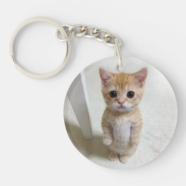 Porte - clé El Gato Cat Meme (Devant)