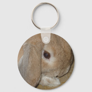 Porte - clé ou porte-clés - lapin nain à oreill