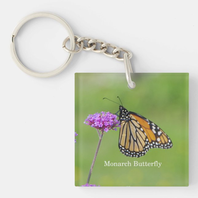 Porte - clé papillon Monarch (Devant)