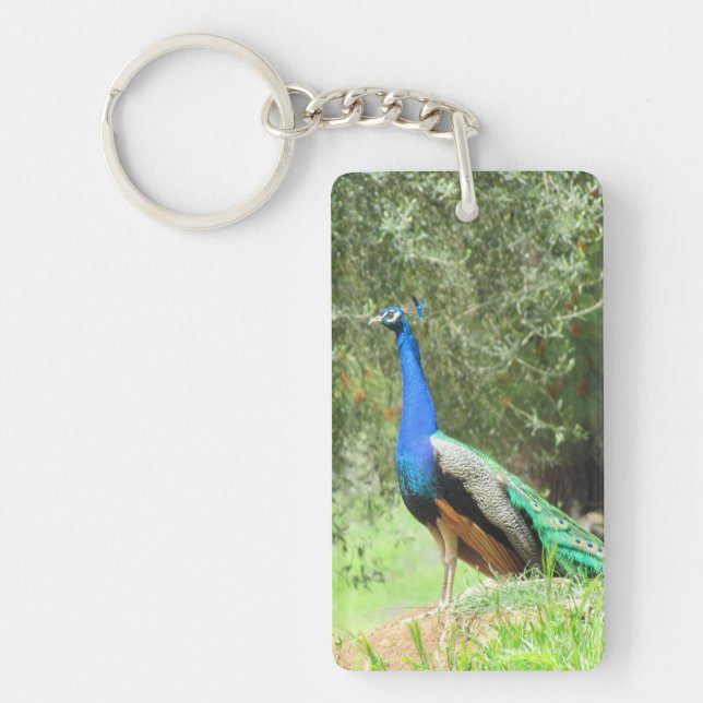 porte - clé - Peacock (Devant)