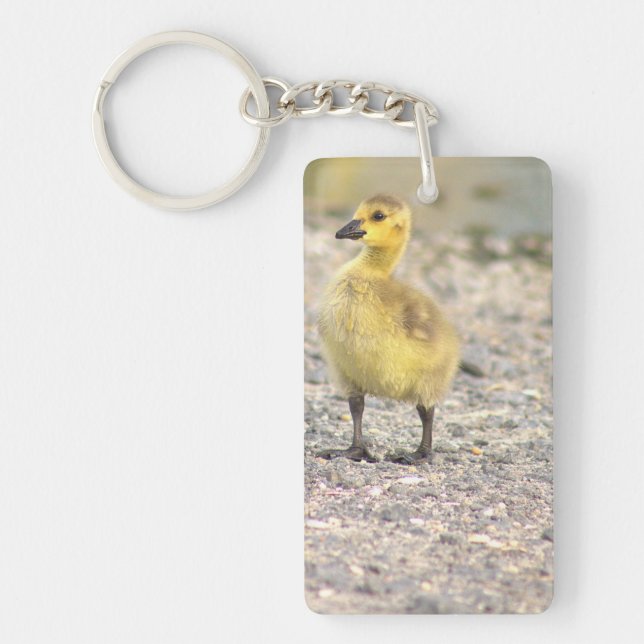 Porte - clé photo Gosling (Devant)
