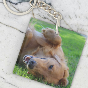 Porte - clé photo personnalisé pour animaux de com