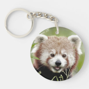 porte - clé photo red panda 0075.