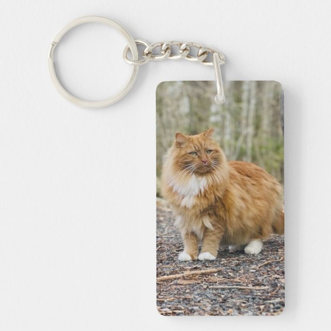 Porte - clé spécial Kitty Nemo (Devant)