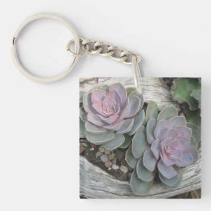 Porte - clé Succulent