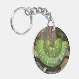 Porte - clé vert de serpent de boa d'arbre