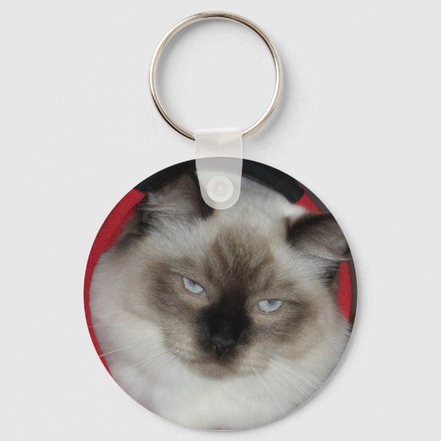 PORTE-CLÉS 2009_12090051 (Recto)