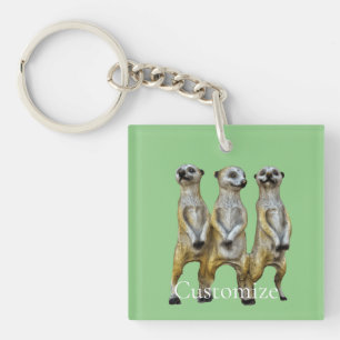 Porte-clés 3 Meerkats debats Thunder_Cove