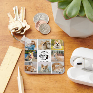 Porte-clés 8 Photo Collage Animaux de compagnie Chien Perte S