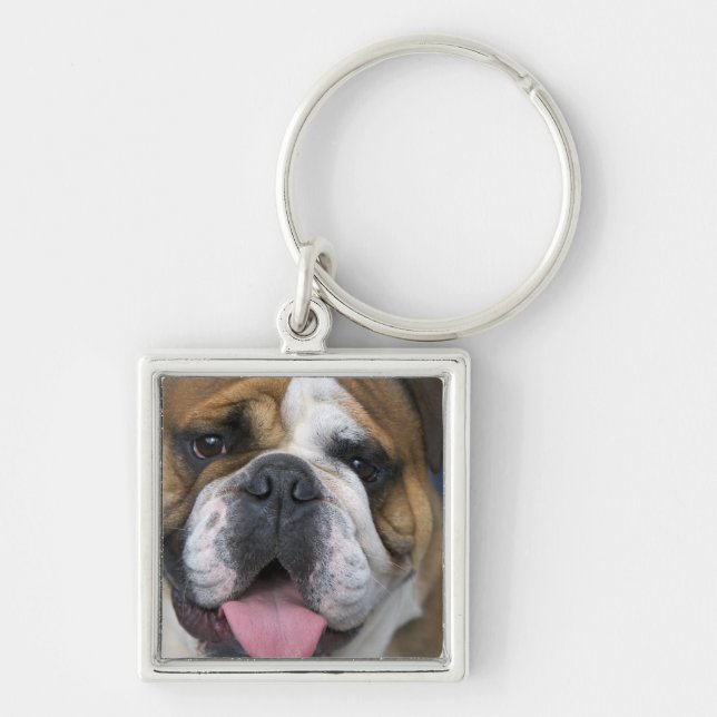 Porte-clés A English bulldog en Belgique. (Devant)