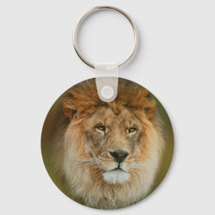 Porte-clés Afrique du Sud Majestic Lion Fermer
