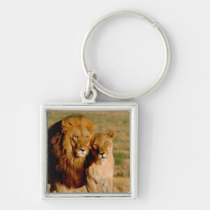 Porte-clés Afrique, Namibie, Okonjima. Lion & lionne
