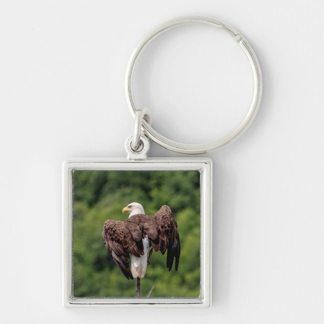 Porte-clés Aigle de Bald sur une branche (Devant)
