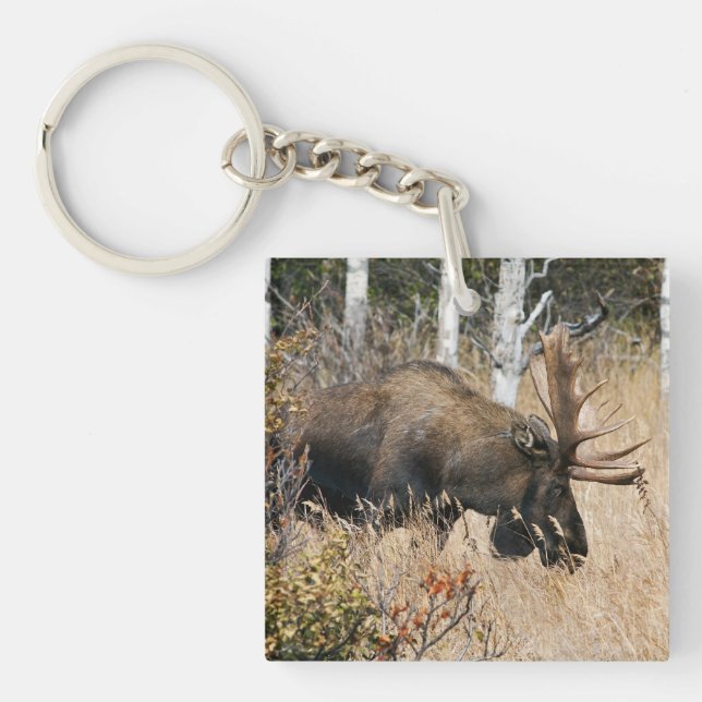 Porte-clés Aiguille (Devant)