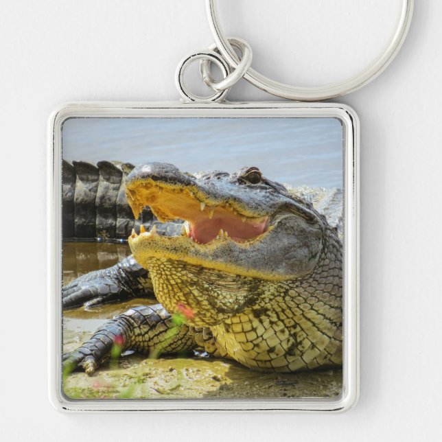 Porte-clés Alligator. Face à face (Devant)