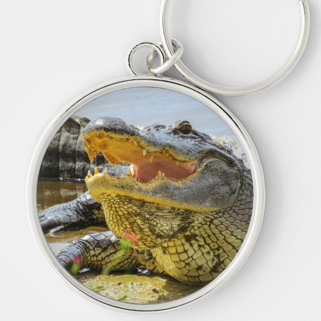 Porte-clés Alligator. Face à face (Devant)