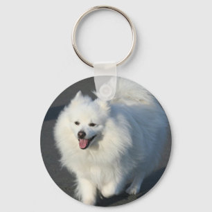 Porte-clés American Eskimo keychain