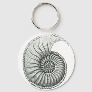 Porte-clés Ammonite