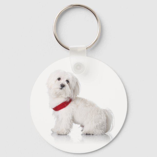 Porte-clés Amour Blanc Bichon Frise Chien Chien Porte - clé (Recto)