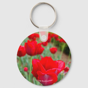 Porte-clés Ampoules d'échappement, gros plan