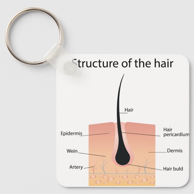 Porte-clés anatomie des os des pieds (Recto)