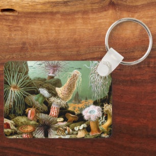 Porte-clés Anémones de mer Vie marine, Animaux marins vintage
