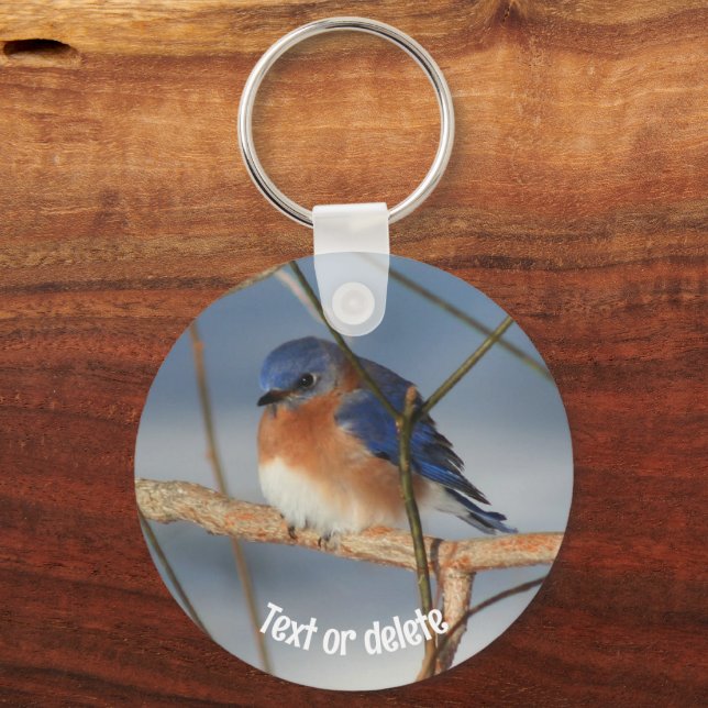 Porte-clés Animal Bluebird d'hiver personnalisé (Recto)