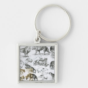 Porte-clés Animaux carnivores