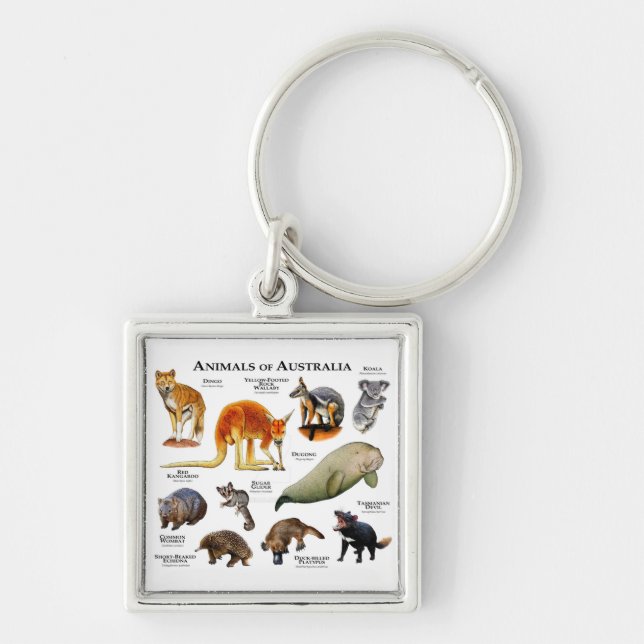 Porte-clés Animaux d'Australie (Devant)