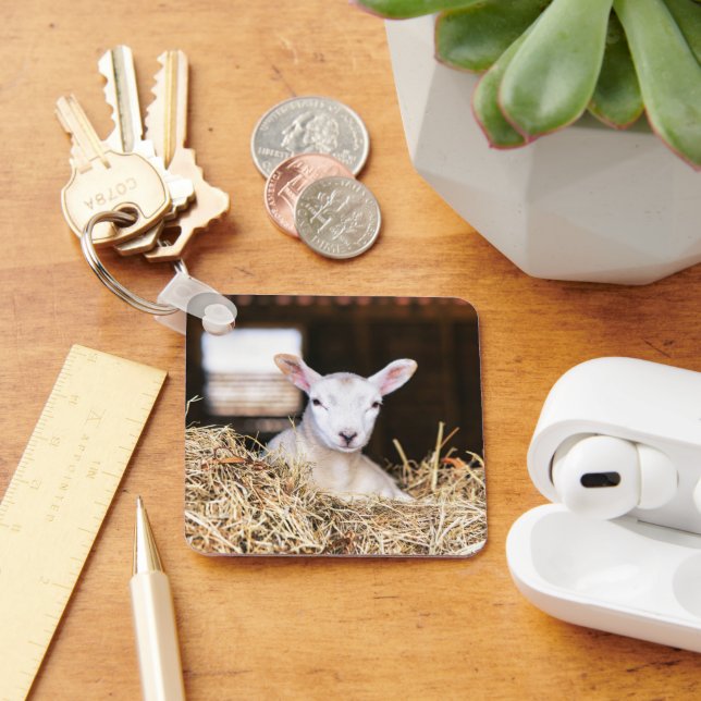 Porte-clés Animaux de bébés cutest | Agneau nouveau-né (Bureau)