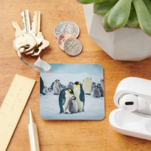 Porte-clés Animaux de bébés cutest   Alimentation de pingouin