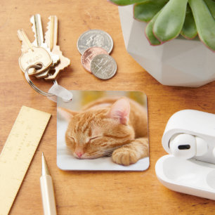 Porte-clés Animaux de bébés cutest   Chat de gingembre dorman