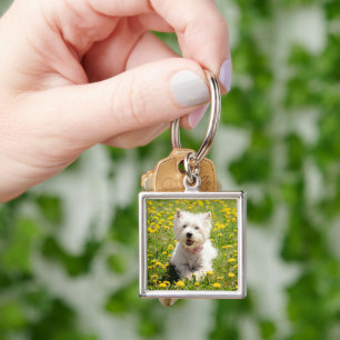 Porte-clés Animaux de bébés cutest   Chien Westin en Dandelio
