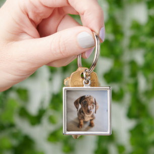 Porte-clés Animaux de bébés cutest   Chiot Brown