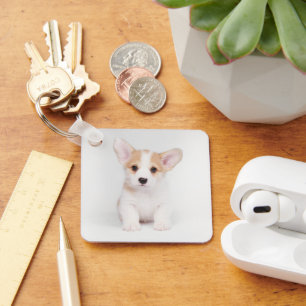 Porte-clés Animaux de bébés cutest   Chiot de Corgi blanc