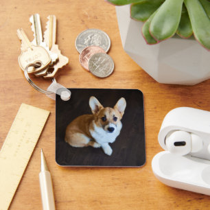 Porte-clés Animaux de bébés cutest   Corgi levant les yeux