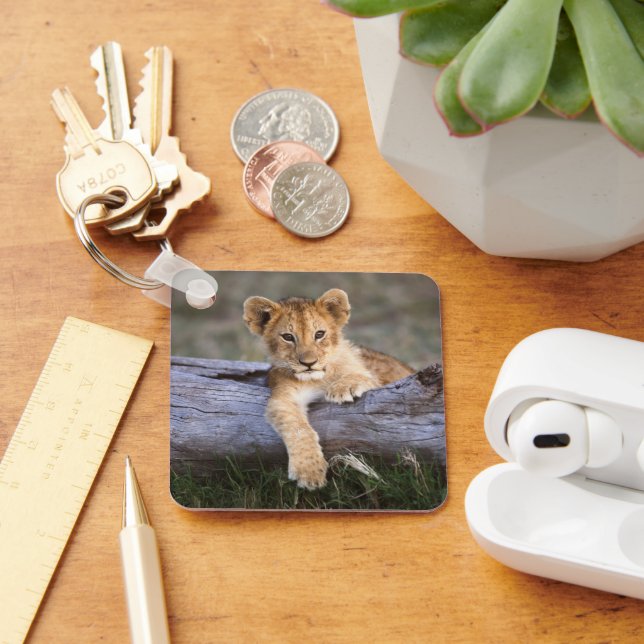 Porte-clés Animaux de bébés cutest | Cute Lion Cub (Bureau)