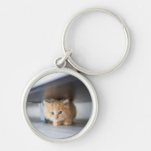 Porte-clés Animaux de bébés cutest Fluffy Orange Kitten