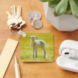 Porte-clés Animaux de bébés cutest Jeune mouton