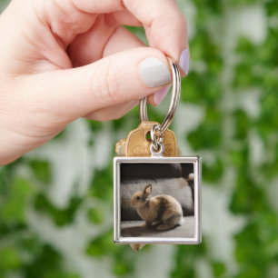 Porte-clés Animaux de bébés cutest Lapin nain de Pays-Bas
