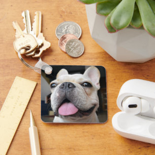 Porte-clés Animaux de bébés cutest   Le visage de Bulldog