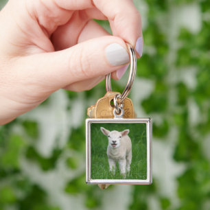 Porte-clés Animaux de bébés cutest   Lil Lamb